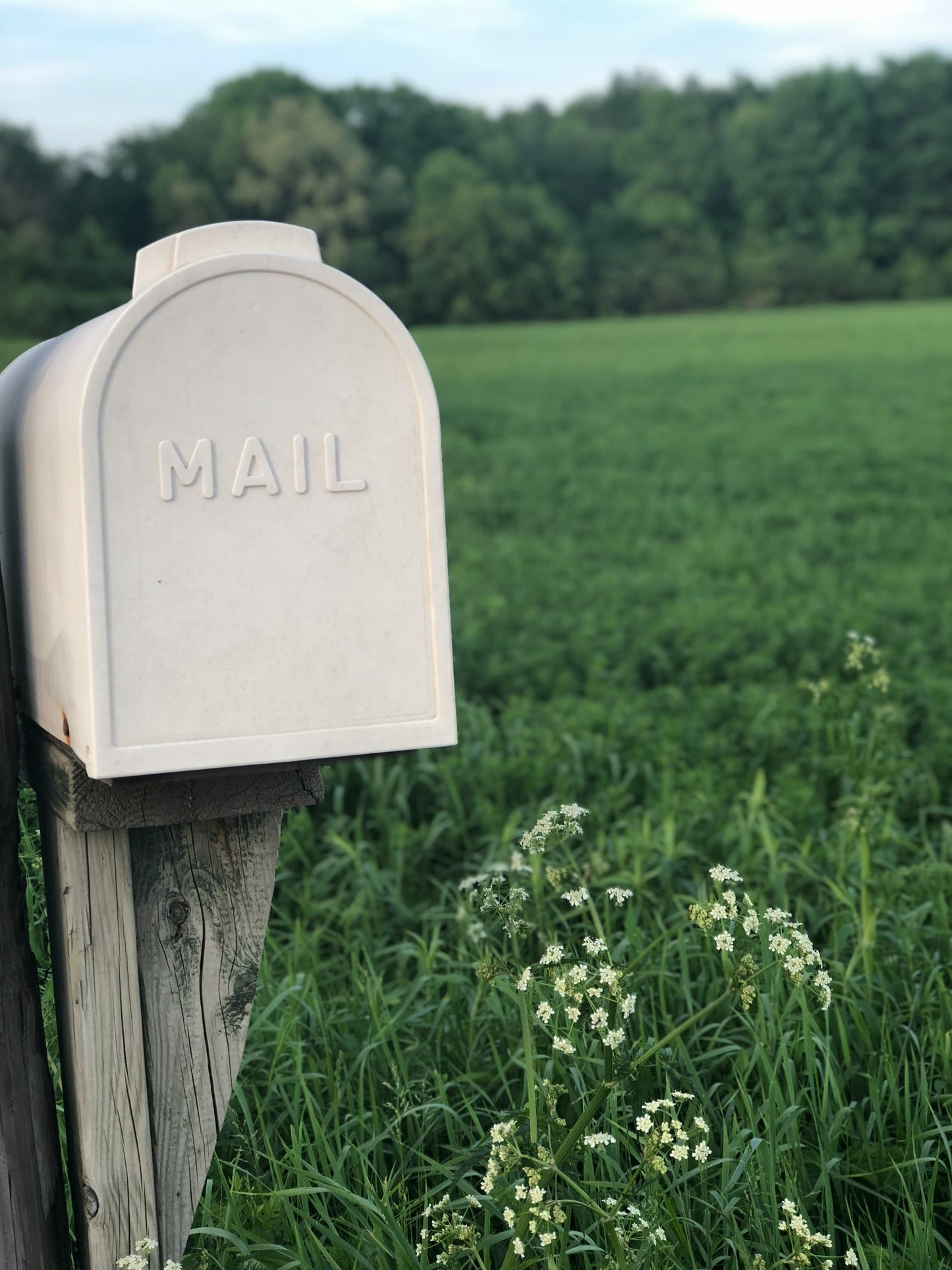 Mailbox Package