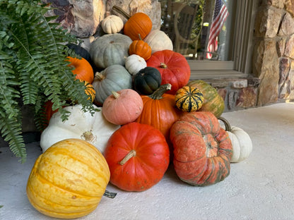 Package 3 - Harvest Charm Collection