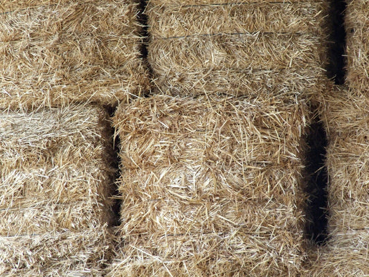 x1 Hay Bale
